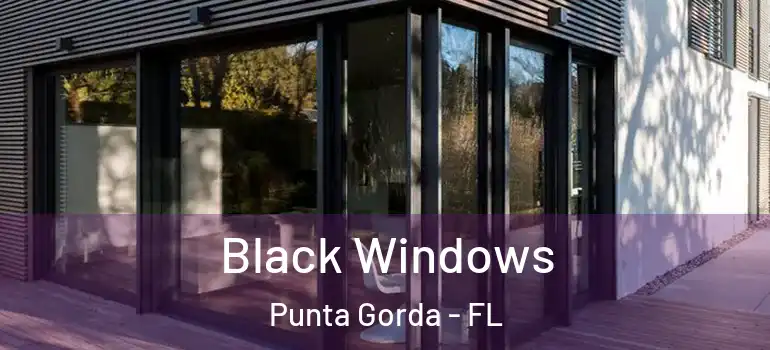 Black Windows Punta Gorda - FL