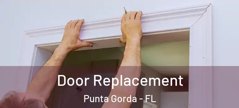 Door Replacement Punta Gorda - FL