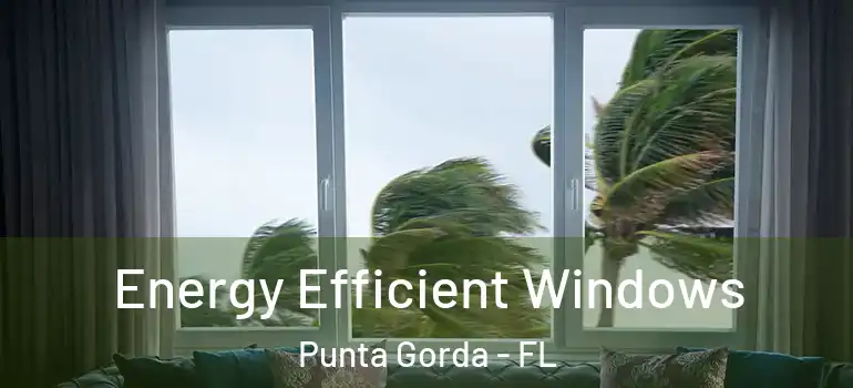 Energy Efficient Windows Punta Gorda - FL