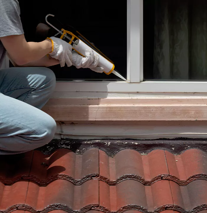Roof Window Services in Punta Gorda, Florida