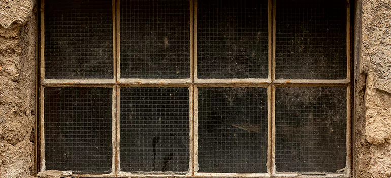 Traditional Double Front Doors in Punta Gorda, FL