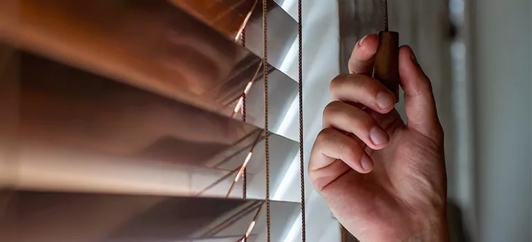 Double Roller Blinds in Punta Gorda, FL