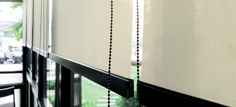 Blackout Window Shades in Punta Gorda, FL