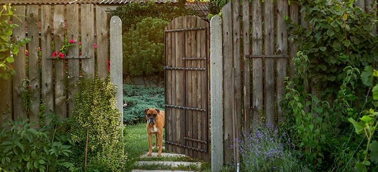 Winter Garden Garage Door Repair in Punta Gorda,[location field=state]