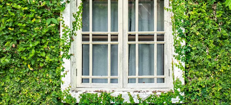 Garden Window Repair Near Me in Punta Gorda, FL