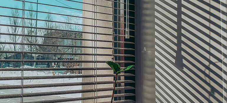 Commercial Window Blinds in Punta Gorda, FL