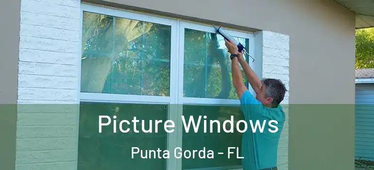 Picture Windows Punta Gorda - FL