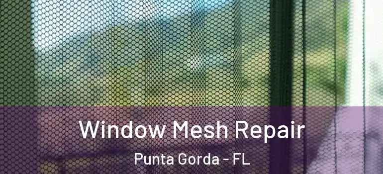 Window Mesh Repair Punta Gorda - FL