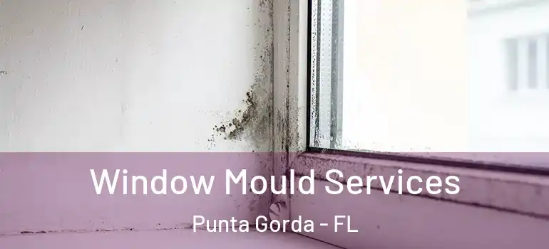  Window Mould Services Punta Gorda - FL